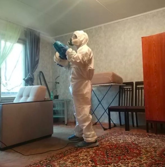 дезинсекция квартиры в Судогде